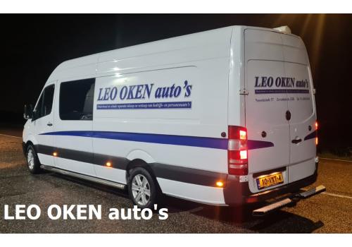 Leo Oken auto's